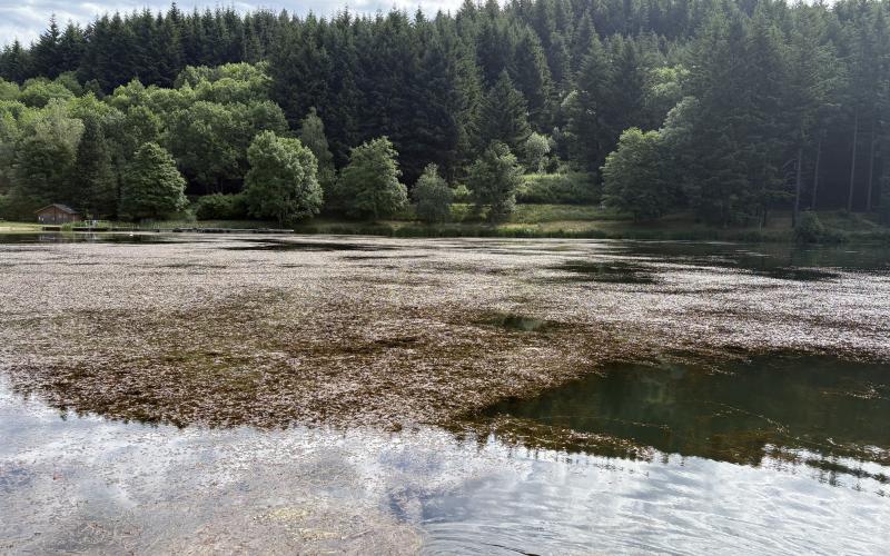 Lac privé Drôme